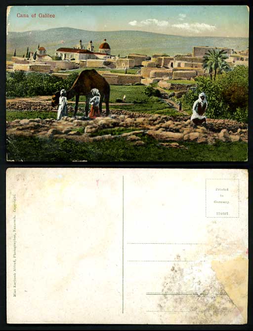 Israel Old Postcard CANA OF GALILEE Camel Mountain Tree