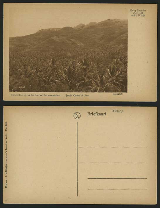 Indonesia Old Postcard JAVA Coast Ricefields Mountains