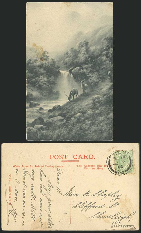 ELMER KEENE Artist Signed Deer Waterfalls 1906 Postcard