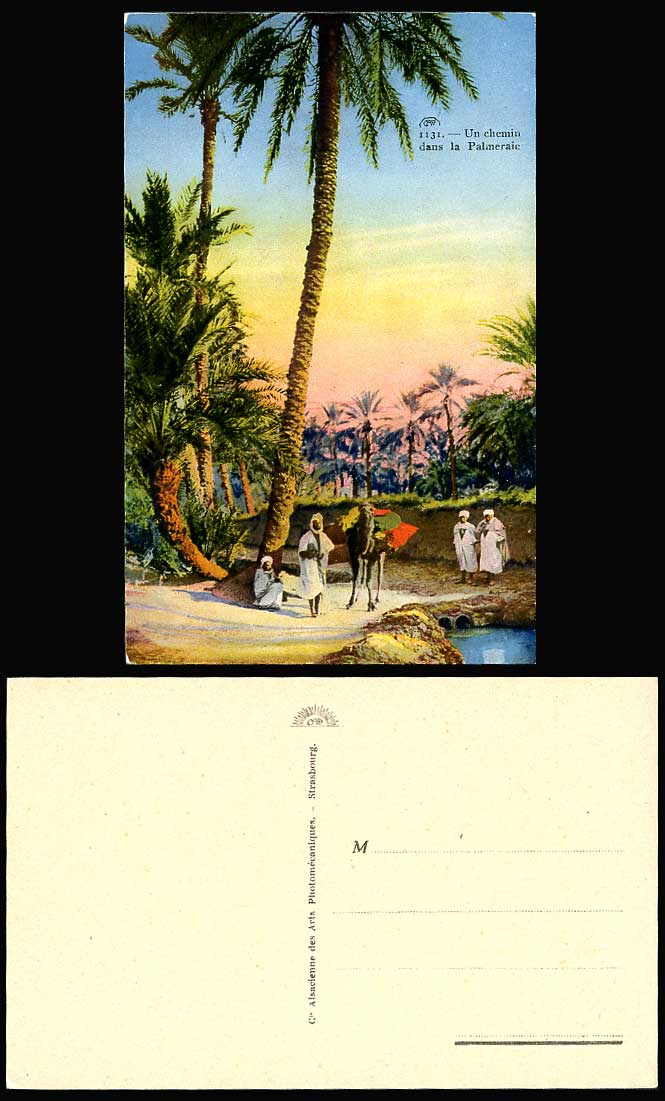 Algeria Old Postcard Un Chemin dans la Palmeraie, Oasis Camel Palm Trees, A Path