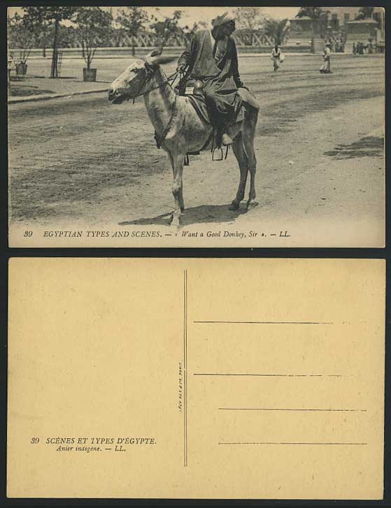 Egypt Old Postcard Want a Good Donkey Sir, Donkey Rider, near Kasr-el-Nil Bridge