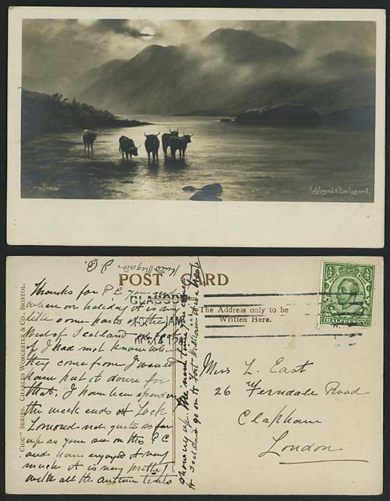 Elmer Keene - Loch Lomond 1912 Postcard Highland Cattle