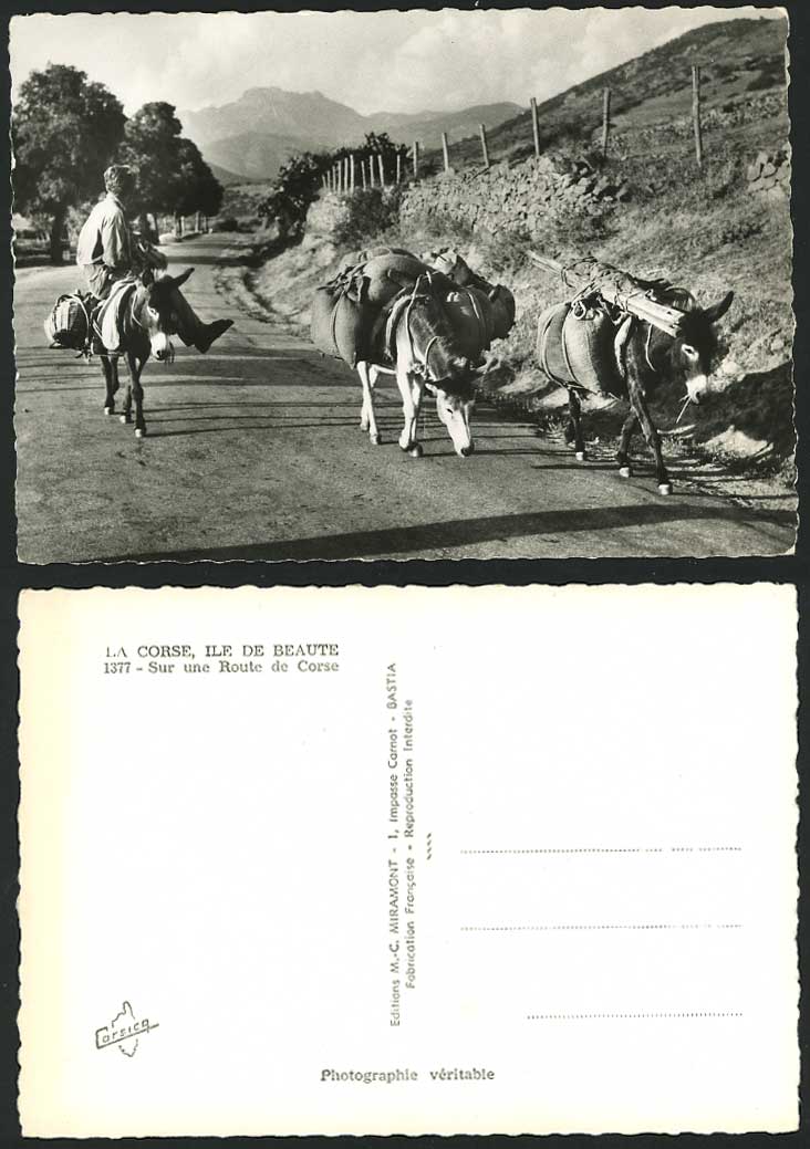 Donkeys La Corse Ile de Beaute Route c1950 Old Postcard