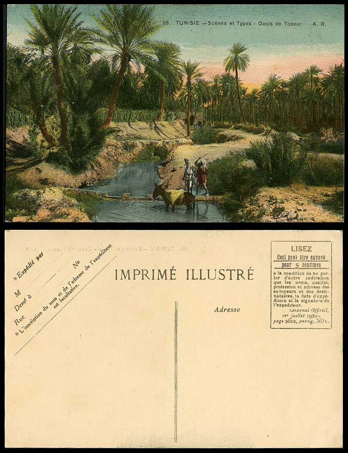 Tunisia Old Postcard Oasis de Tozeur Donkey Bridge River Stream Scenes et Types