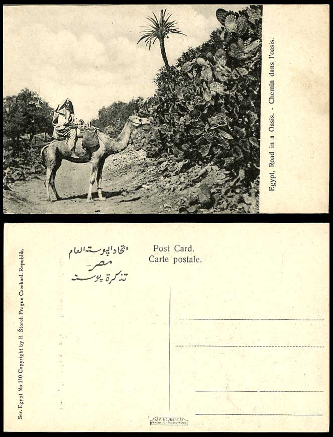 Egypt Old Postcard Road in a Oasis Chemin dans l'Oasis, Camel Rider Cactus Cacti