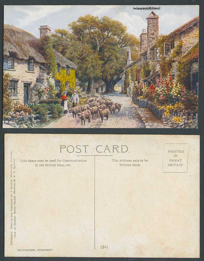AR Quinton Old Postcard Bossington Somerset, SHEEP Shepherd Street Cottages 1341