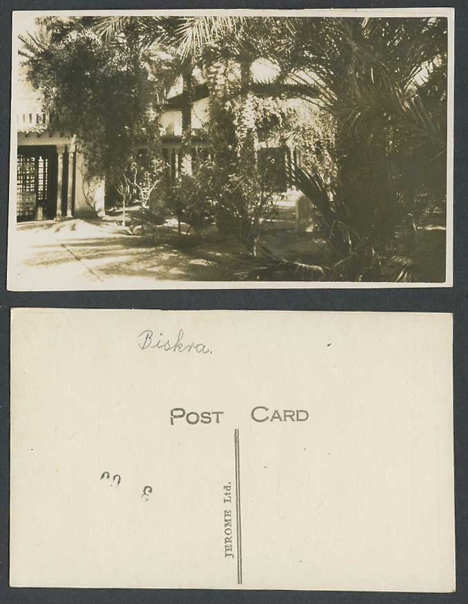 Algeria Old Real Photo Postcard Biskra, Garden Trees Plants, Jerome Ltd N Africa