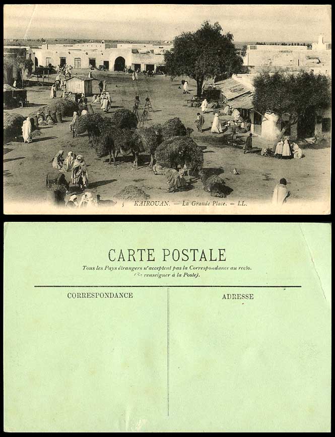 Tunisia KAIROUAN Old Postcard La Grande Place Square Camels Street Scene L.L. 5