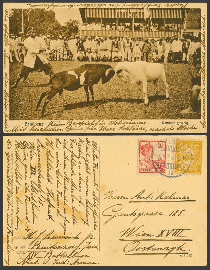 Indonesia, Bandoeng, RAM FIGHT Rammen gevecht D.E.I. 3c 10c 1925 Old UB Postcard