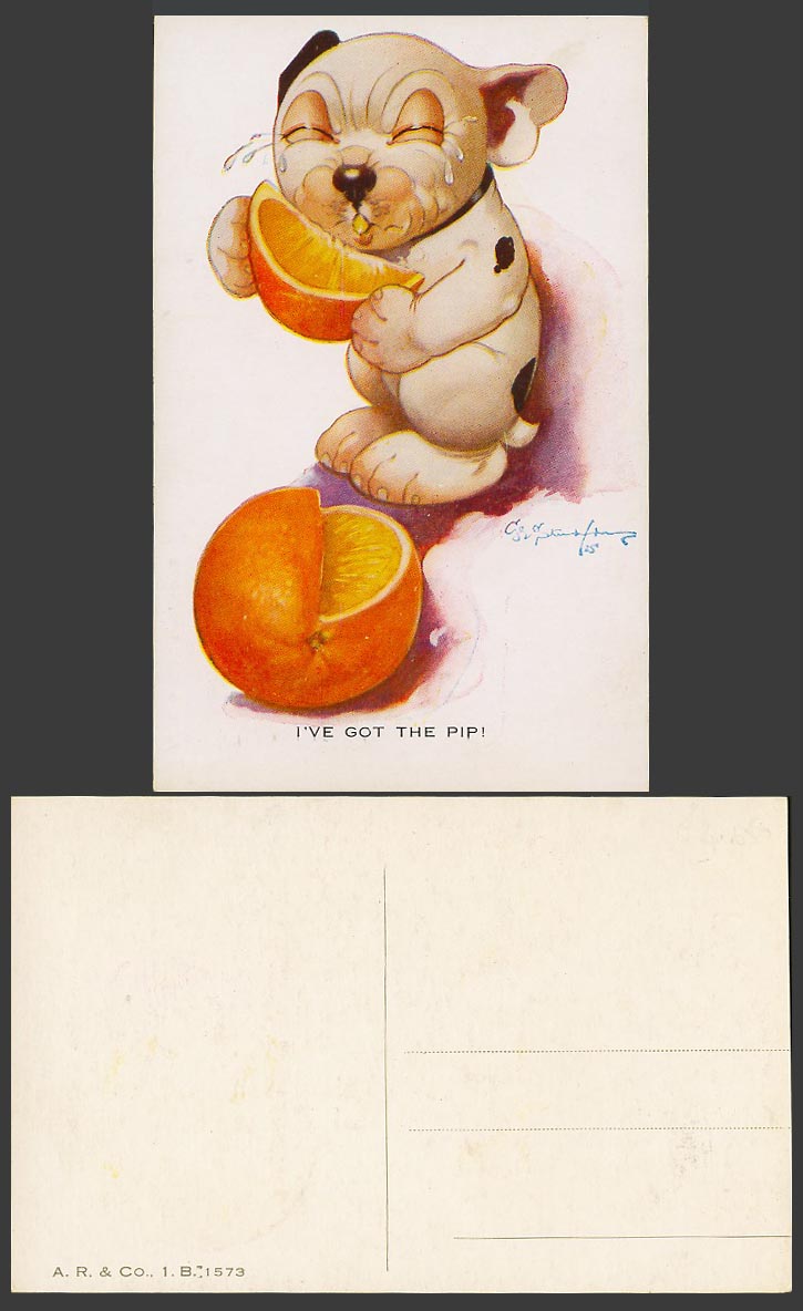 BONZO DOG GE Studdy Old Postcard Puppy eating an Orange - I've Got The PIP! 1573