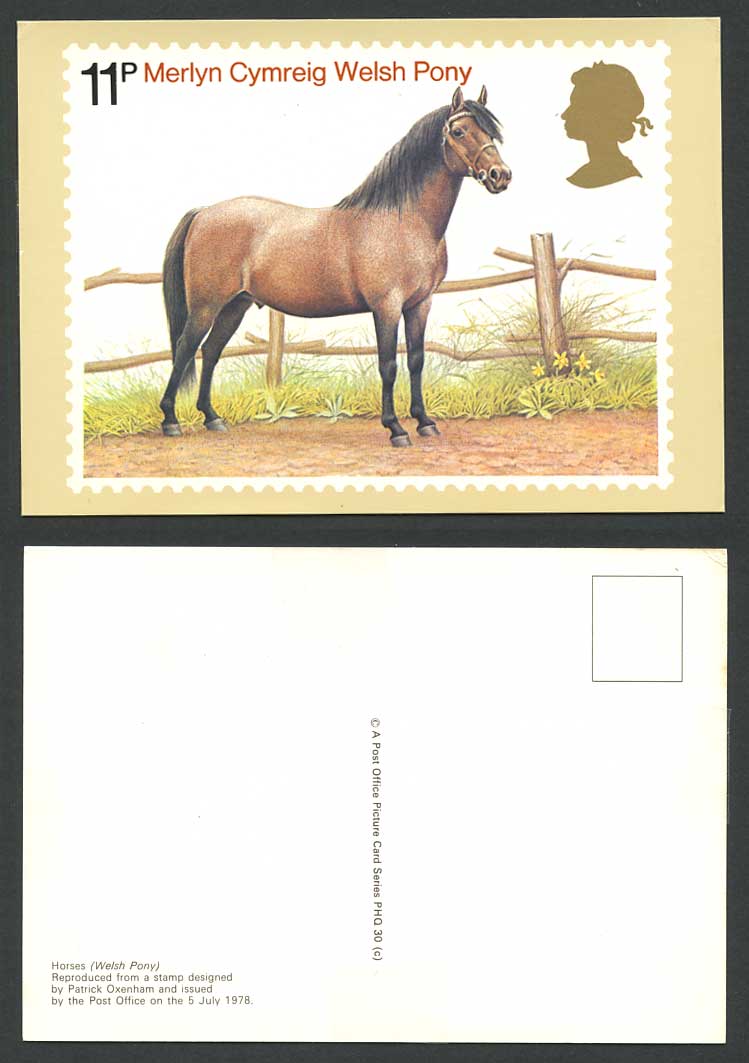 PHQ Card Merlyn Cymreig Welsh Pony Horse 11p - Patrick Oxenham designed Postcard