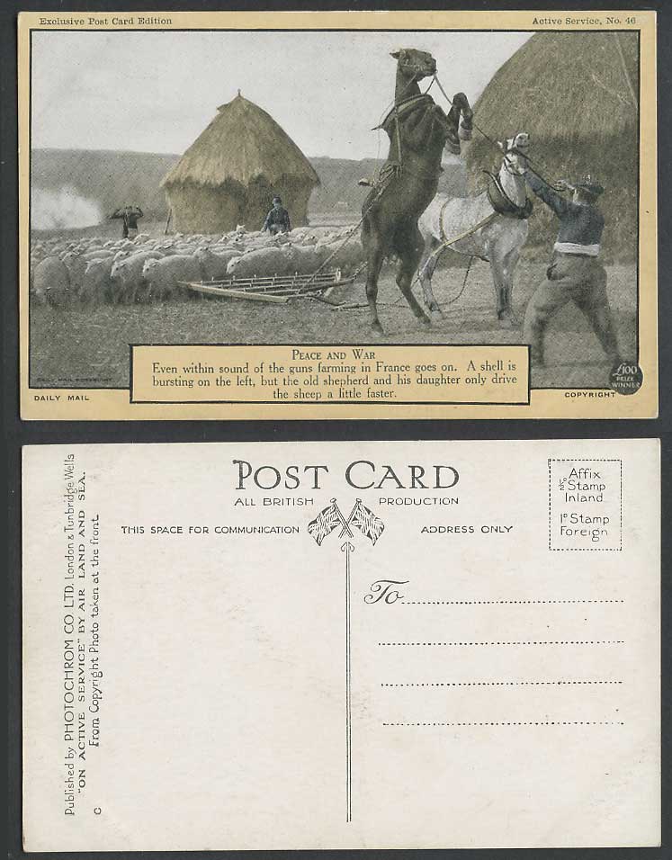 WW1 Daily Mail Old Postcard Peace and War Shepherd Daughter Horse Sheep Soldiers