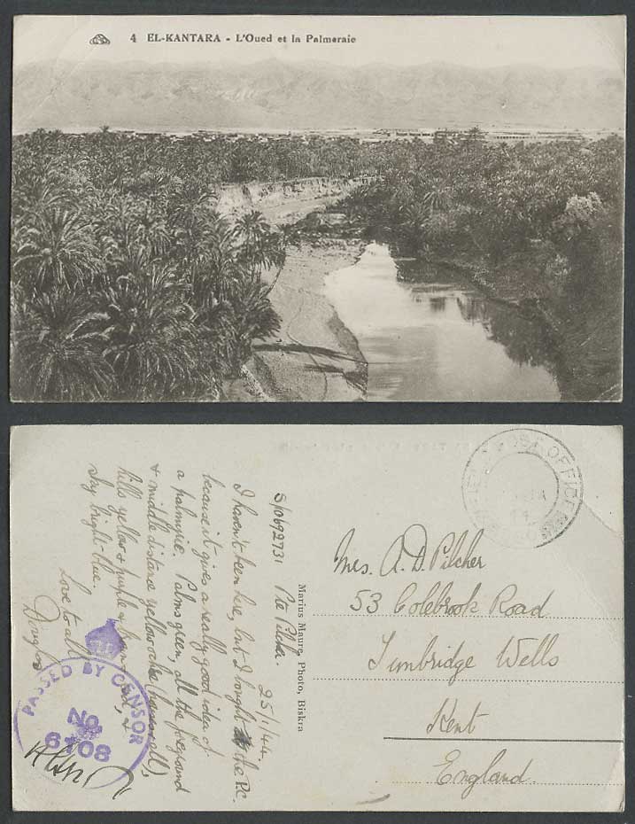 Algeria WWII Censor 1944 Old Postcard EL KANTARA Oued Palmeraie River Palm Trees