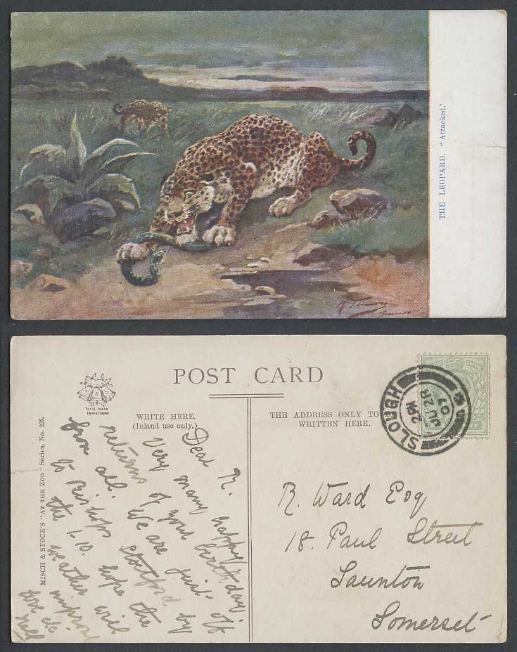 Snake Leopard Attacked Animals Artist Signed 1907 Old Colour Postcard At The Zoo