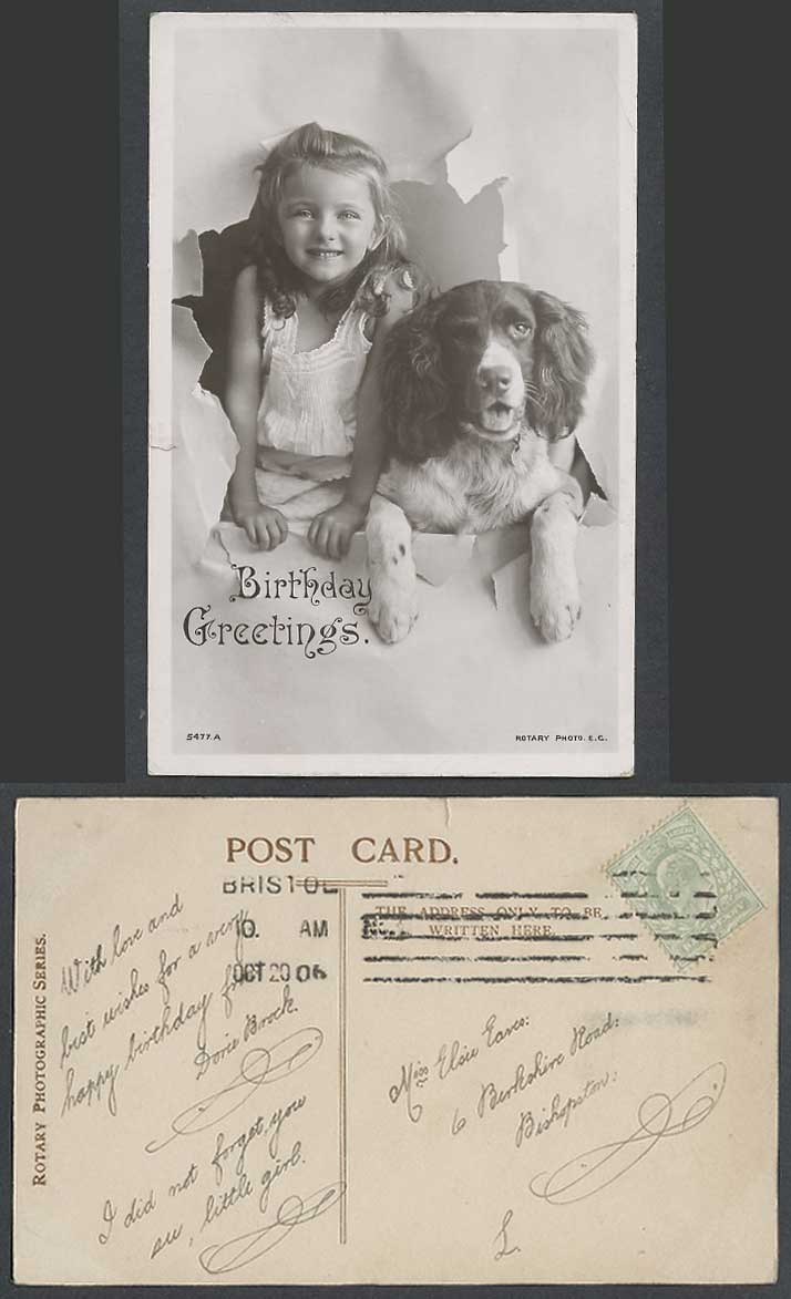 Cocker Spaniel Dog Puppy, Sweet Little Girl Birthday Greetings 1906 Old Postcard