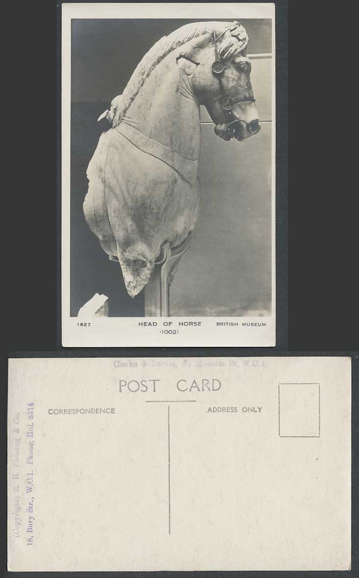Head of Horse Sculpture, British Museum London 1002 1627 Old Real Photo Postcard