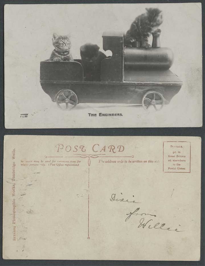Cats Kittens The Engineers, Miniature Locomotive Engine Train Old Photo Postcard