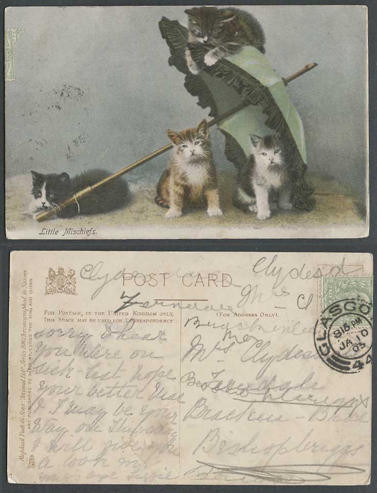 Cats Kittens Little Mischief Umbrella Parasol 1905 Old Postcard Tuck's Animal Lf