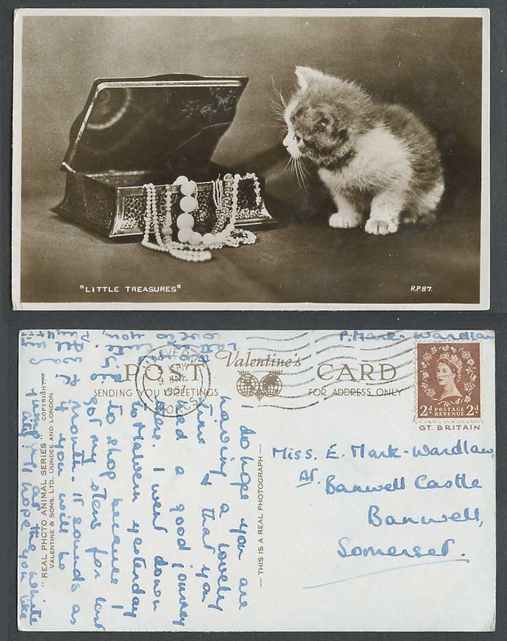 Cat Kitten & Little Treasures Trinket Box Jewellery 1957 Old Real Photo Postcard
