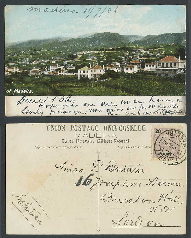 Portugal Funchal 20r 1908 Old Colour Postcard Madeira Panorama General View Hill