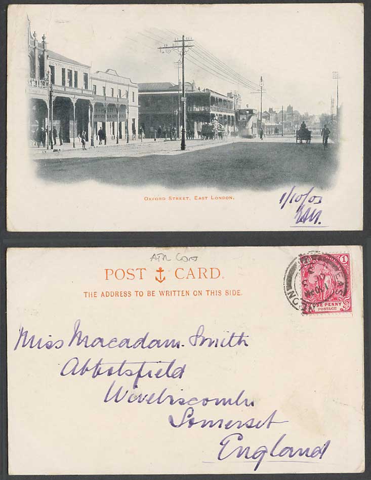 South Africa 1903 Old Postcard East London Oxford Street, TRAM, Dental Institute