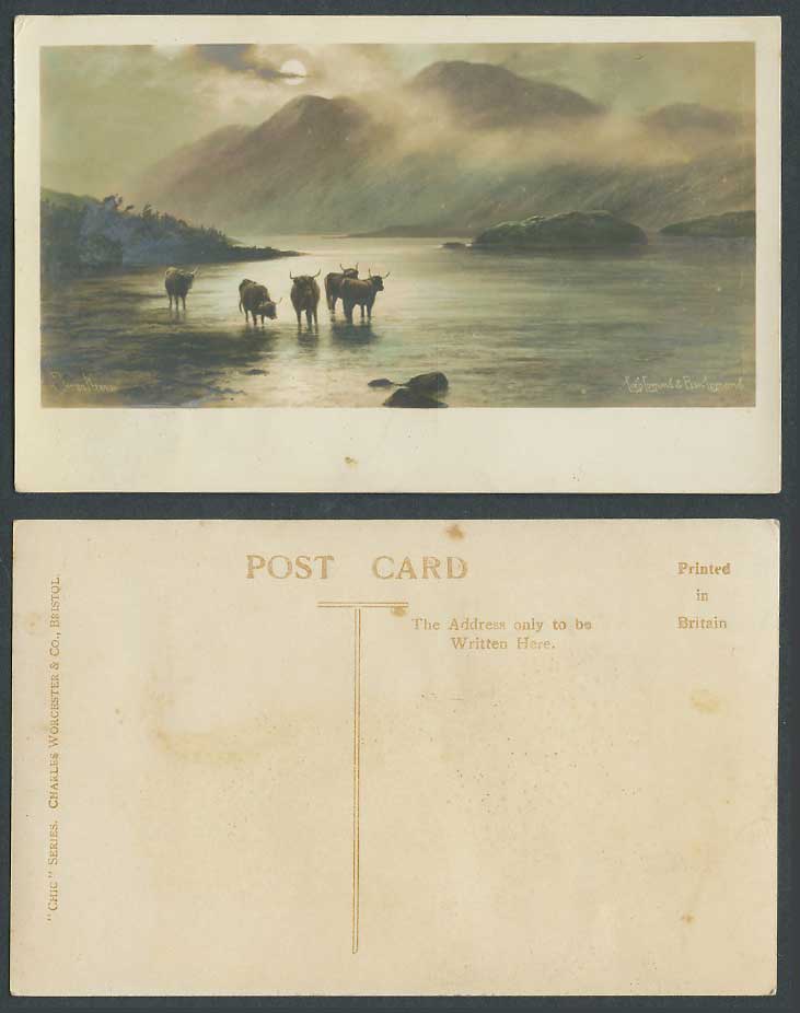 Elmer Keene Loch, Lomond & Ben Lomond Highland Cattle Moonlight Old ART Postcard