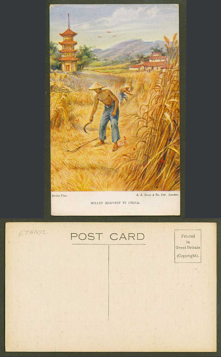 China Old Postcard MILLET HARVEST Pagoda Temple Chinese Farmers at Work Series 5