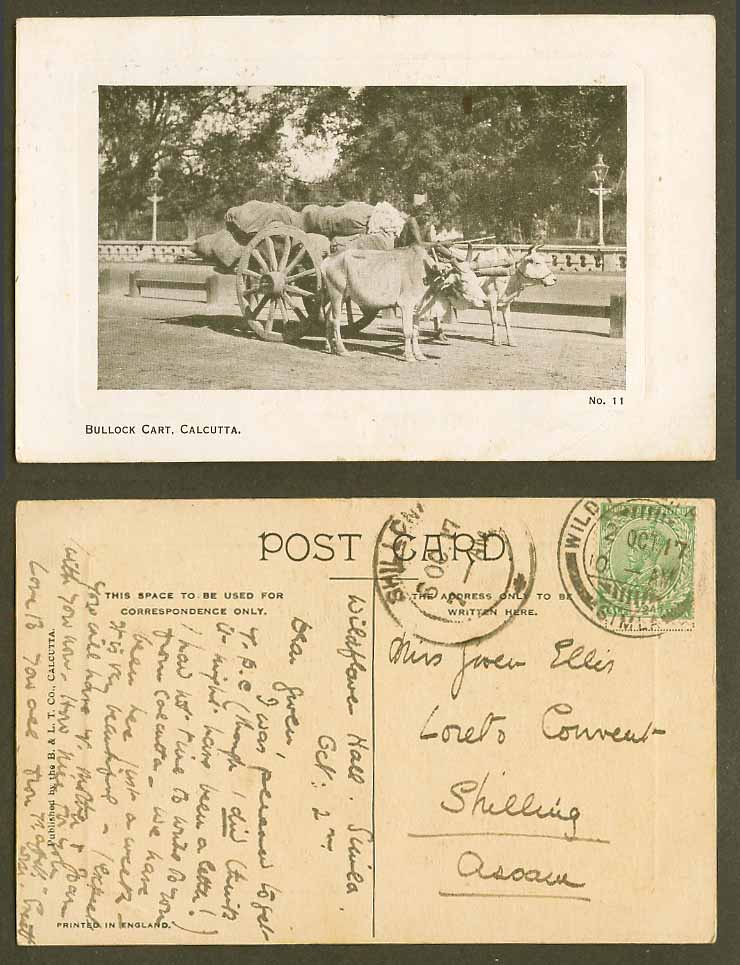 India KG5 1/2a Simla to Shillong 1917 Old Postcard Calcutta, Double Bullock Cart