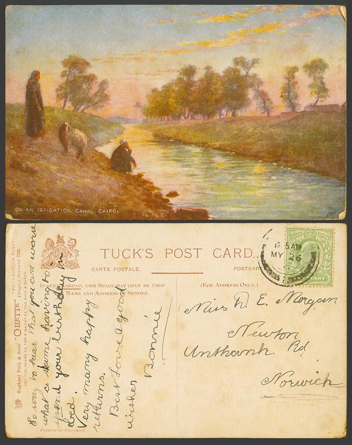 Egypt 1/2d 1907 Old Tuck's Postcard On an Irrigation Canal Cairo, SHEEP Shepherd