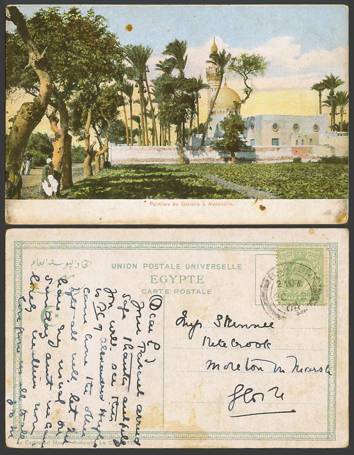 Egypt 1908 Old Postcard Alexandria, Palm Trees, Palmiers de Gabarie a Alexandrie