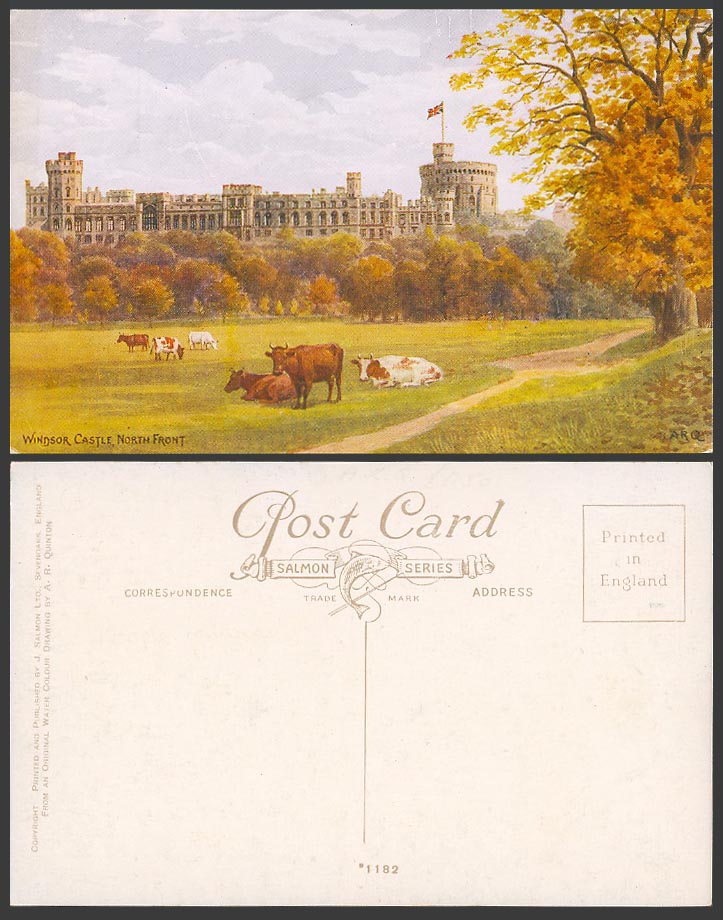 A.R. Quinton Old Postcard WINDSOR CASTLE North Front Cow Cattle Resting No. 1182