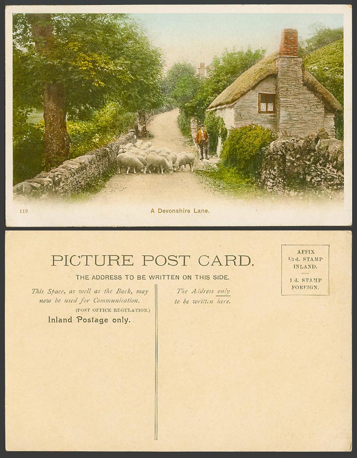 Devonshire Lane, Sheep & Shepherd Cottage House Street Scene Old Colour Postcard