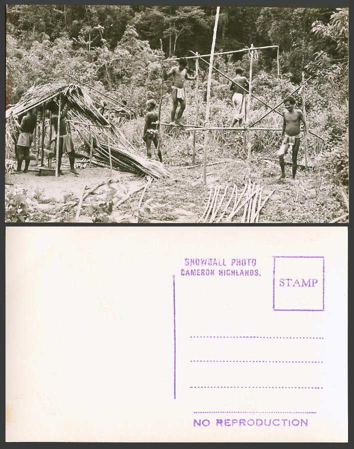Pahang Cameron Highlands Old Real Photo Postcard Native Men Building Houses Huts