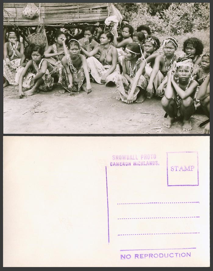Pahang Cameron Highlands Old Real Photo Postcard Group of Native Women and Girls