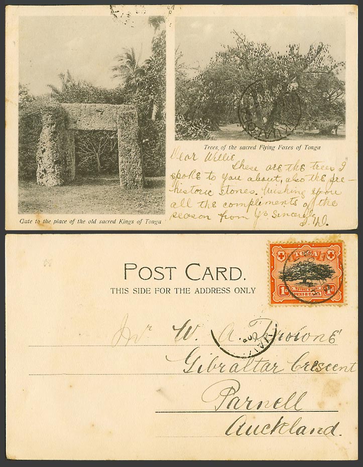 Tonga 1d 1906 Postcard Gate to Place of Old Sacred Kings & Trees of Flying Foxes