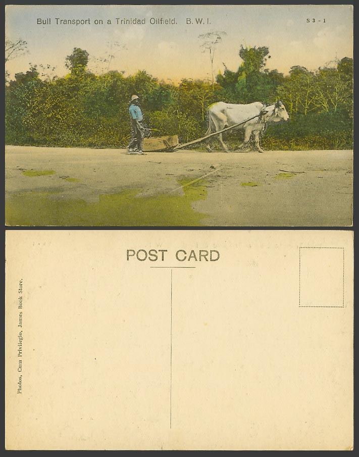 Trinidad Old Colour Postcard Bull Transport on a Trinidad Oilfield Oil Field BWI