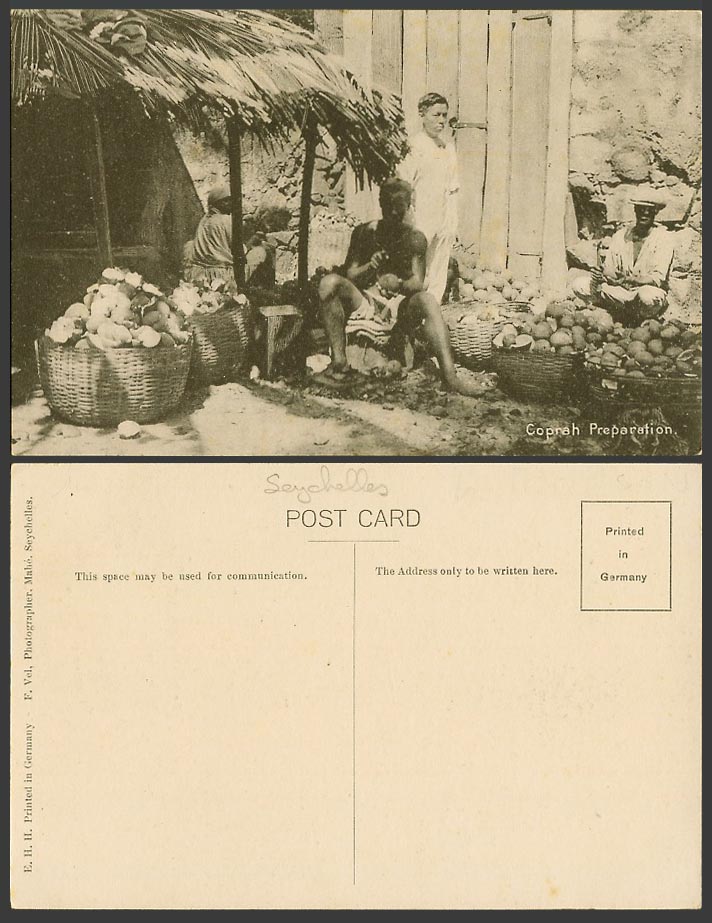 Seychelles Old Postcard Coprah Preparation Native Worker Preparing Copra Coconut