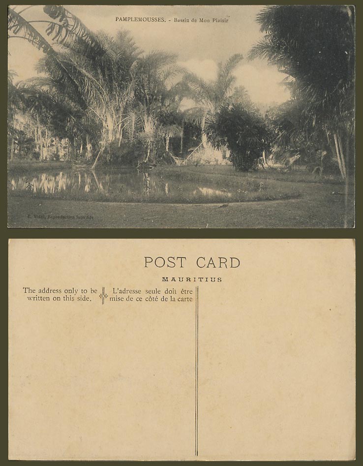 Mauritius Old Postcard Pamplemousses Bassin de Mon Plaisir Botanical Garden Lake