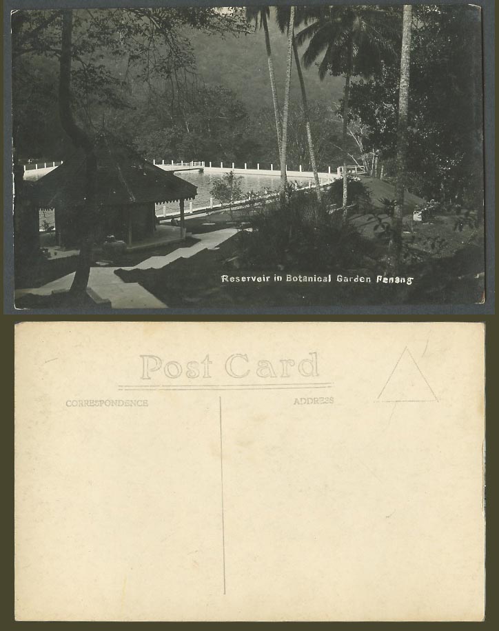 Penang Old Real Photo Postcard Reservoir Botanical Garden Botanic Gardens Bridge