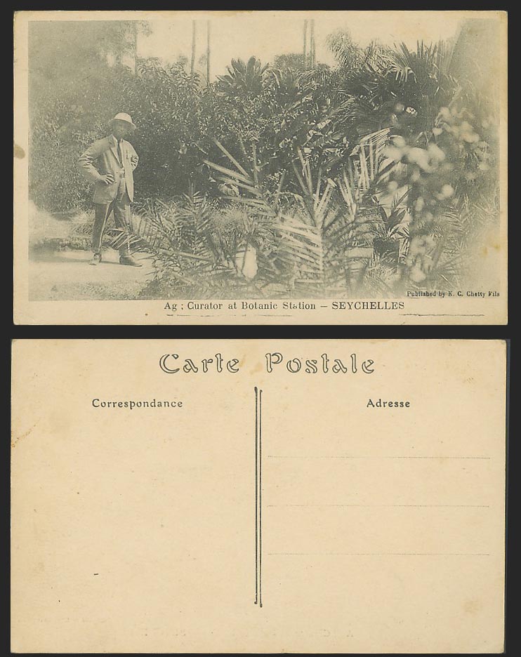 Seychelles Old Postcard Ag. Curator at Botanic Station Gardens, K.C. Chetty Fils