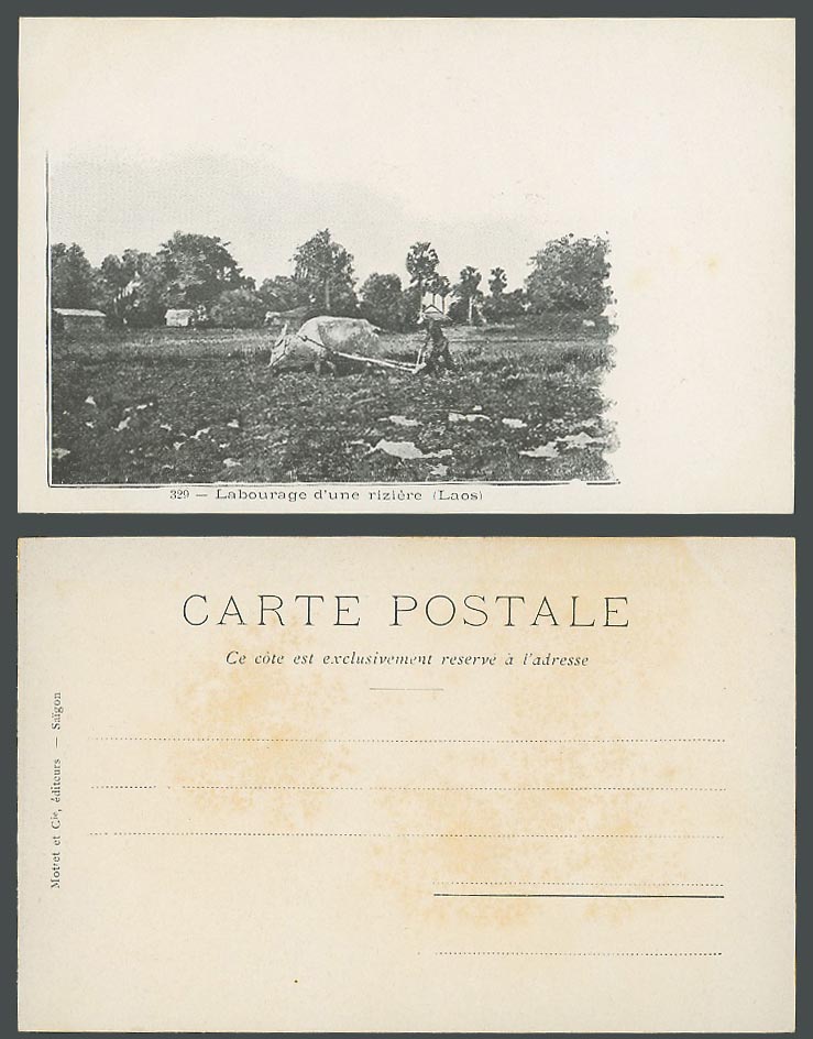 Laos Old UB Postcard Labourage d'une riziere, Farmer Cattle Plowing a Rice Field
