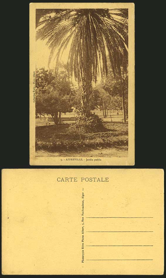 Algeria Old Postcard AFFREVILLE - Jardin Public Garden