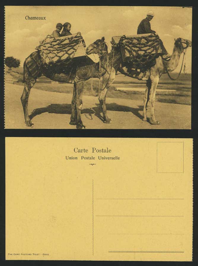 Egypt Old Postcard Chameaux - Men & Children on Camels