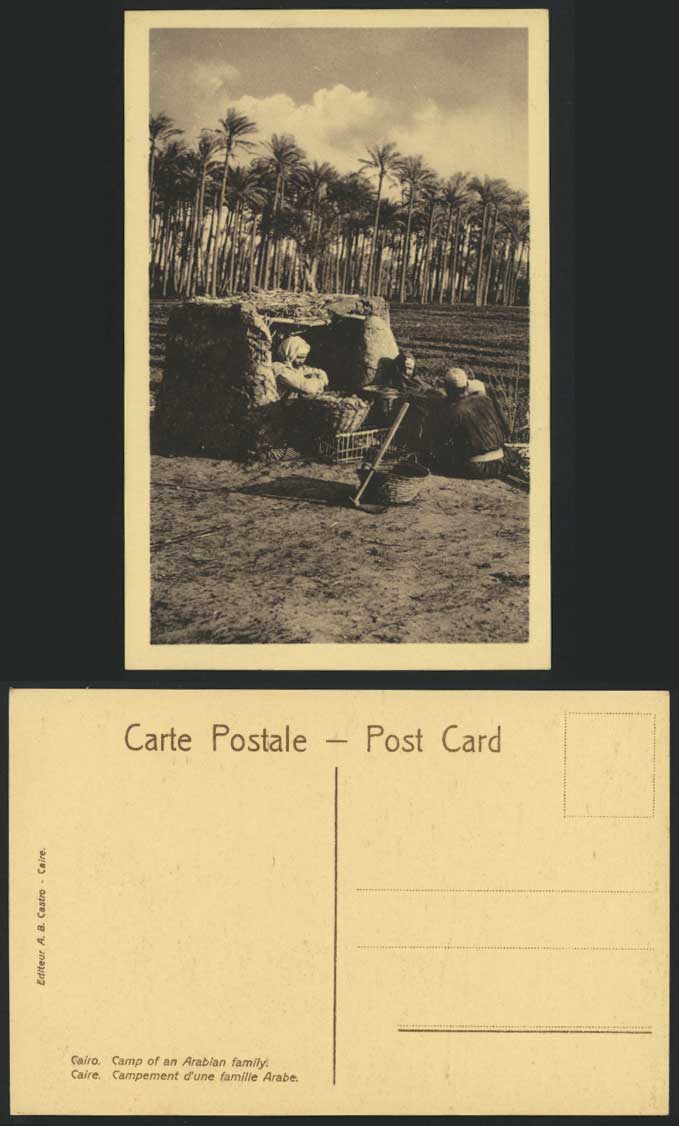 Egypt Old Postcard Cairo Arabian Family Camp Arab Arabe