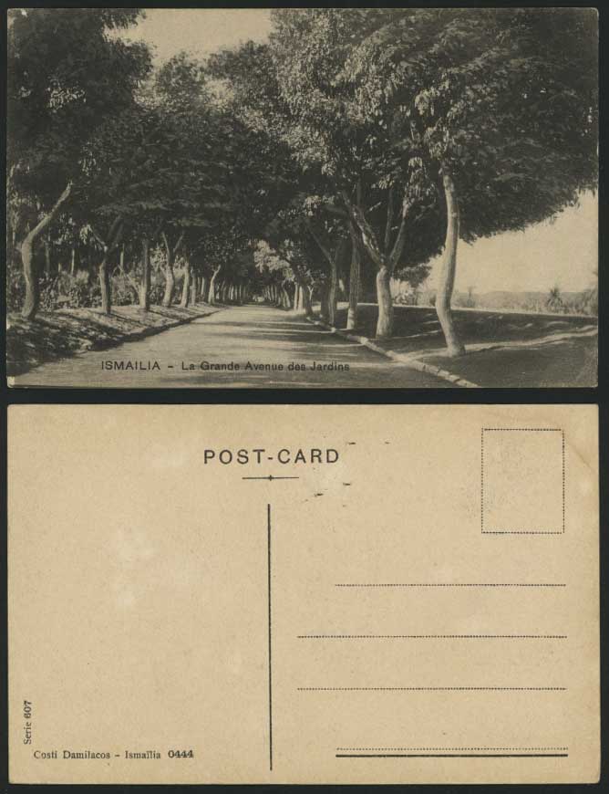 Egypt Old Postcard ISMAILIA - Grande Avenue des Jardins