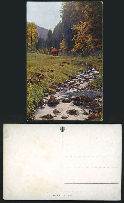 Switzerland Old Postcard RIVULET COTTAGE in Woods River