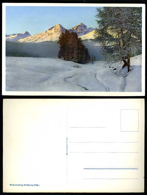Switzerland Old Postcard Trees SCENIC SNOWY LANDSCAPE