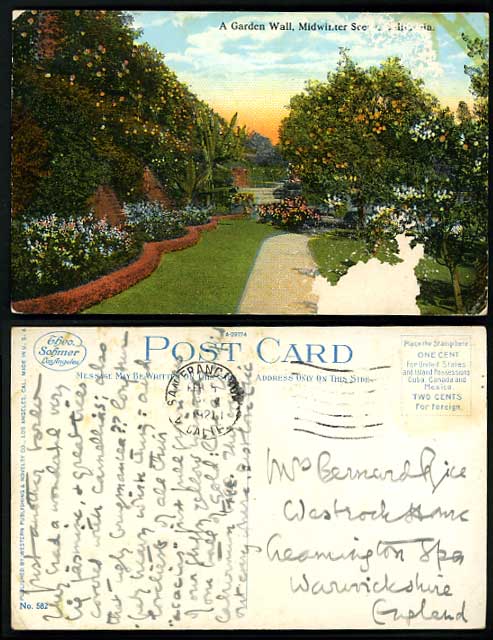 USA 1921 PPC CALIFORNIA A Garden Wall, Midwinter Scene