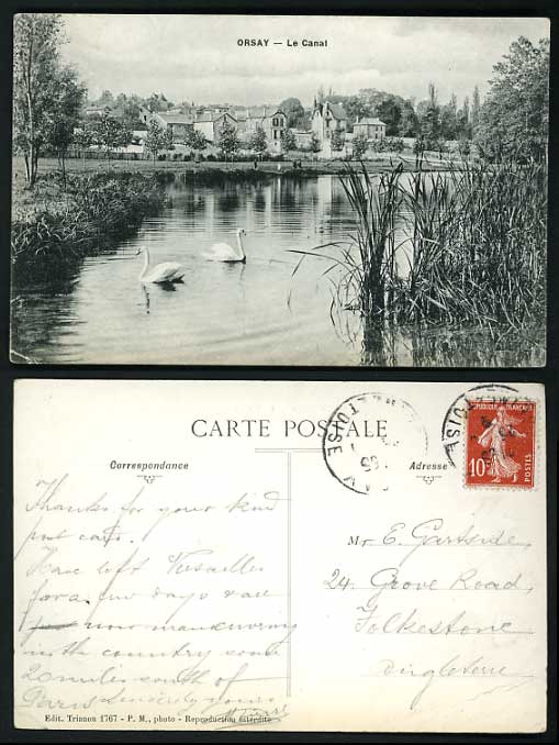 France Old Postcard - ORSAY Le Canal SWANS and REED Birds
