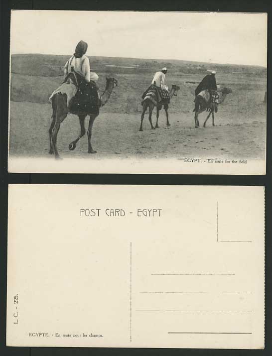 Egypt Old Postcard BEDOUINS ON CAMELS to the Field
